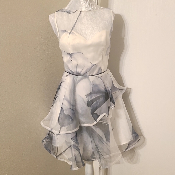 nha khanh Dresses & Skirts - Nha knahn layered ruffle sheer skater style dress